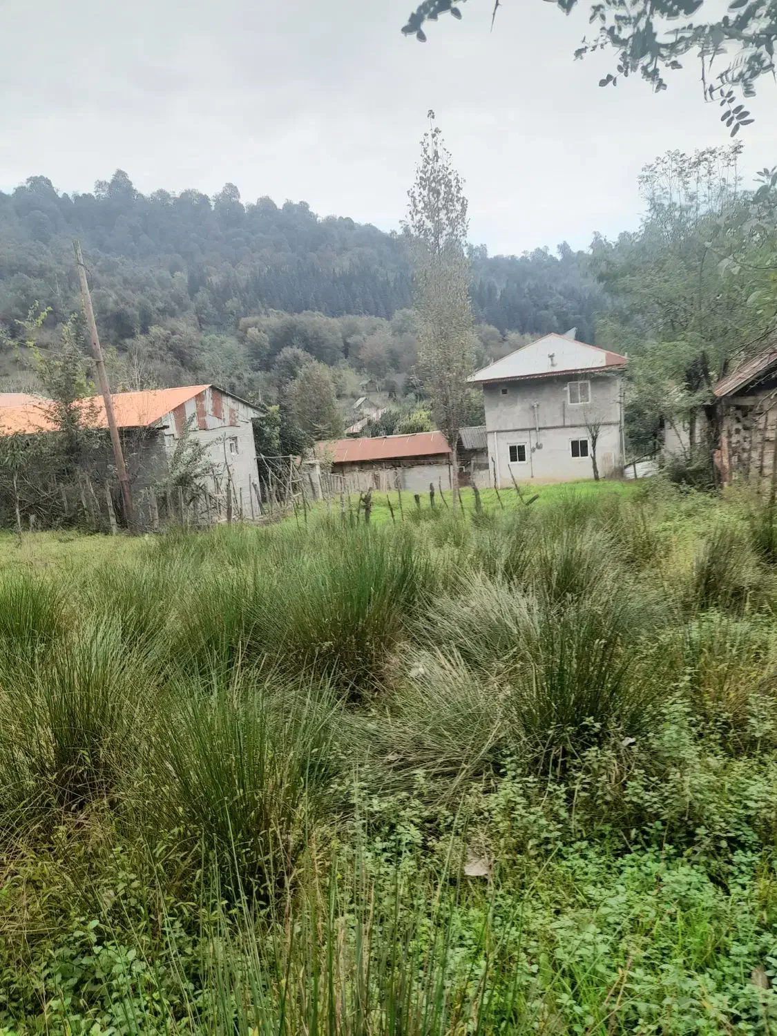 زمین مسکونی کوهپایه ای فاصله ۱۰۰ متری استخر دوقلو|فروش زمین و ملک کلنگی|ماکلوان, |دیوار