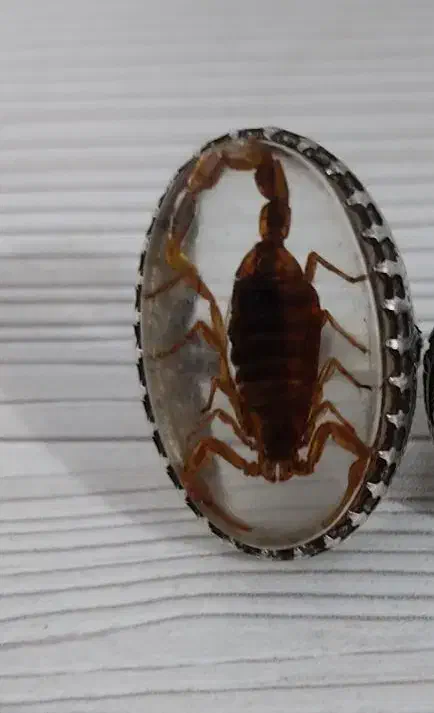 گردنبند با انگشتر|جواهرات|بم, |دیوار