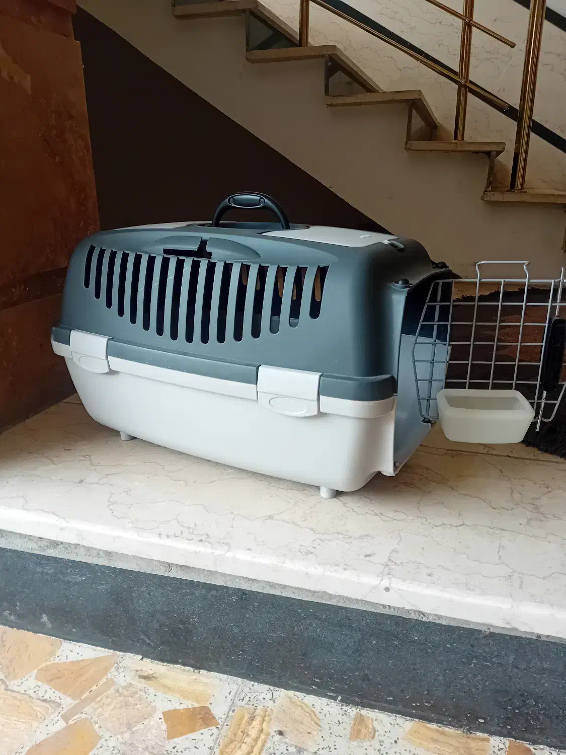 باکس پت|لوازم جانبی حیوانات|نوشهر, |دیوار