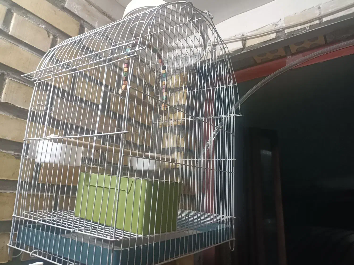یک قفس در حد نو|لوازم جانبی حیوانات|سنندج, |دیوار