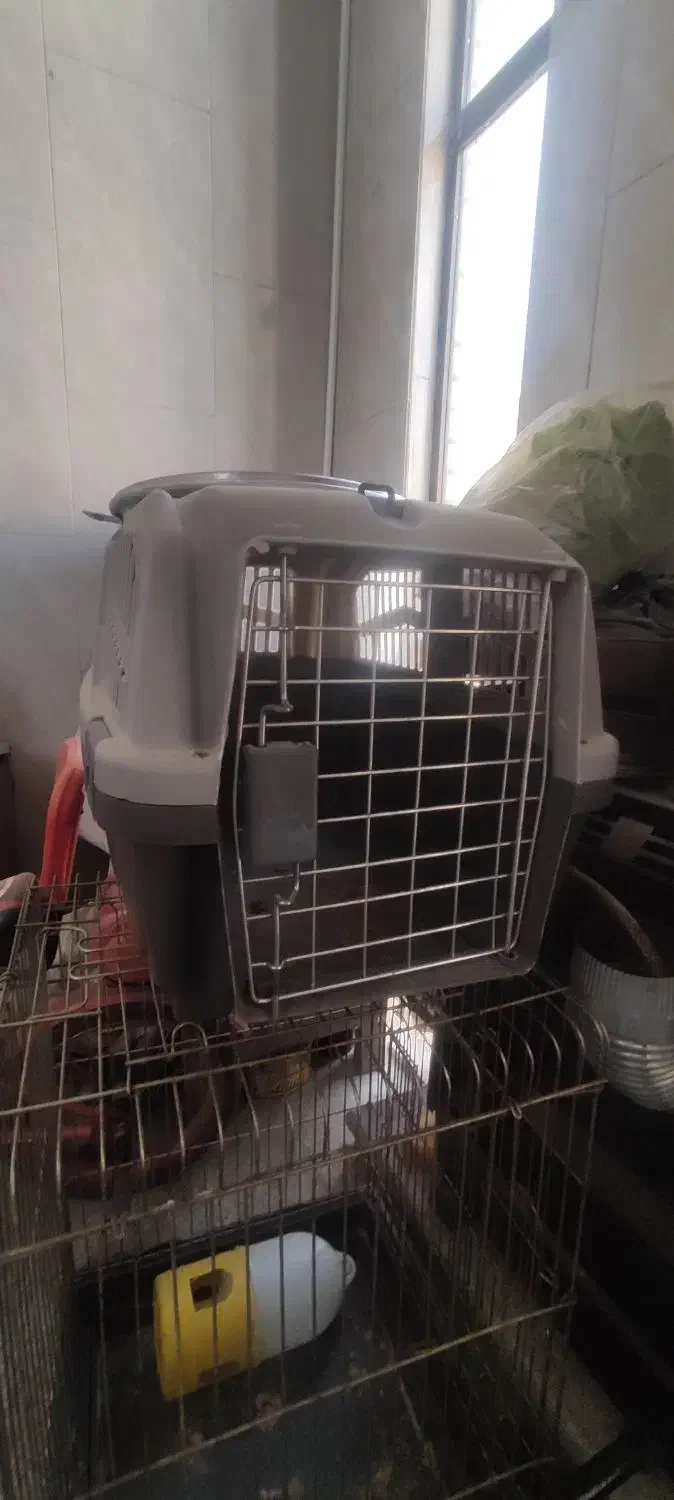 باکس سگ خونه سگ لانه سگ خانه لونه اکبند|لوازم جانبی حیوانات|اصفهان, کوی نرگس|دیوار