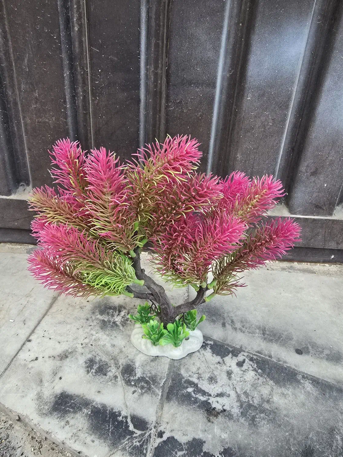 گل مصنوعی آکواریوم|ماهی|ارومیه, |دیوار