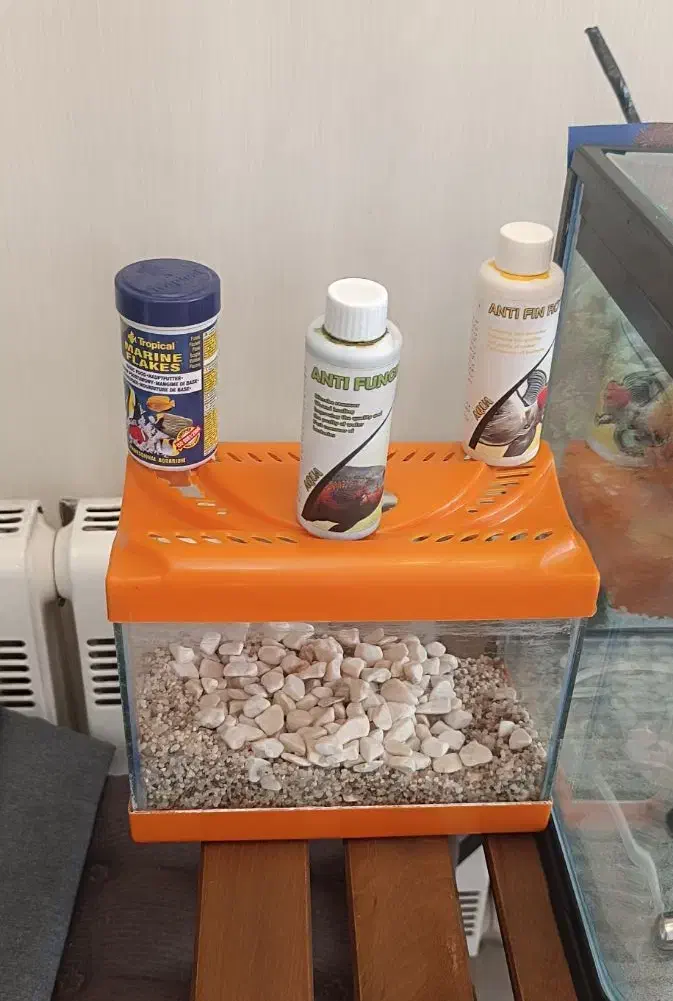 آکواریوم ماهیران شیشه خم با کل وسائل|ماهی|تهران, هروی|دیوار