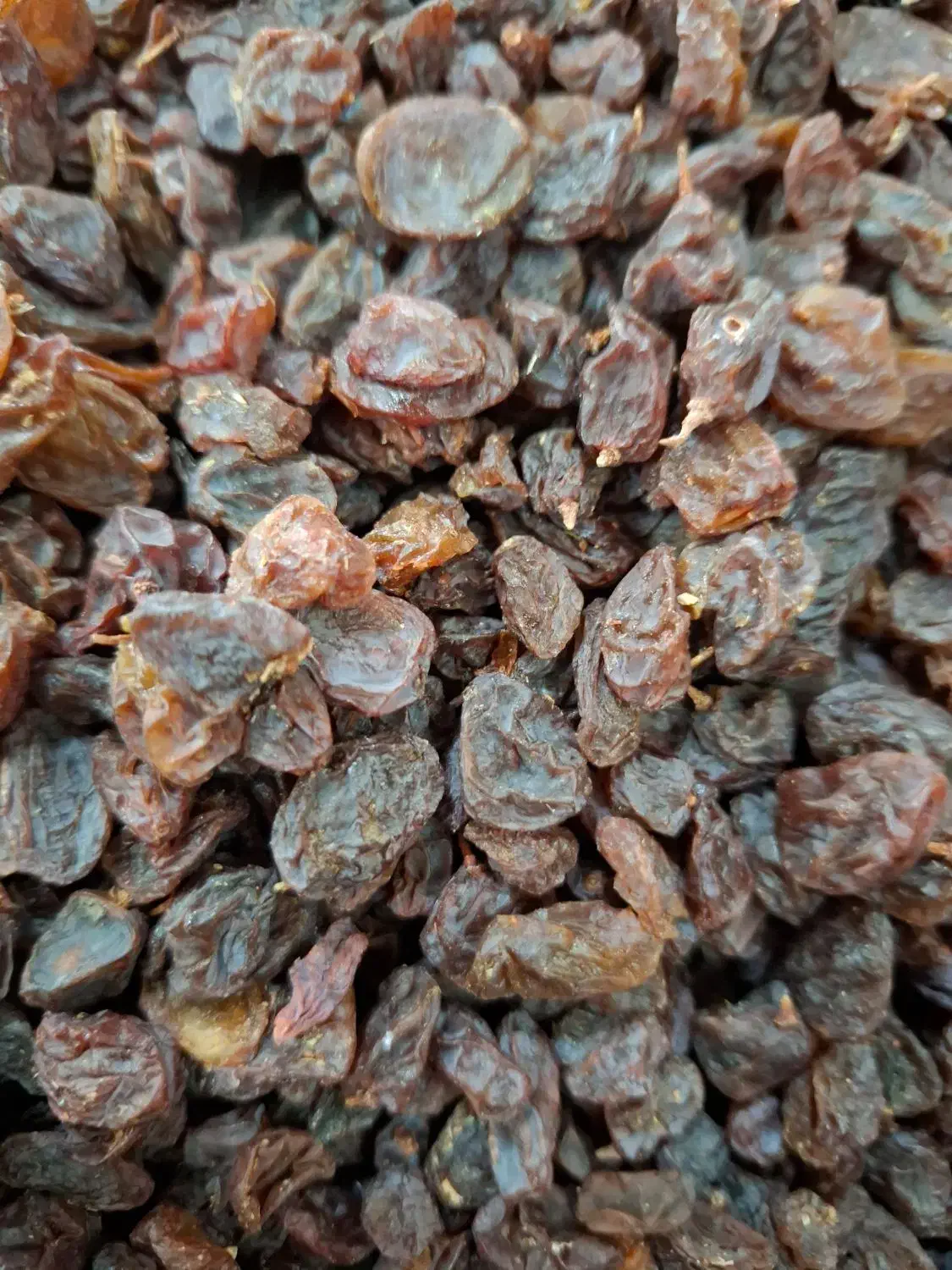 کشمش افتاب خشک ارگانیک|خوردنی و آشامیدنی|خمینیشهر, |دیوار