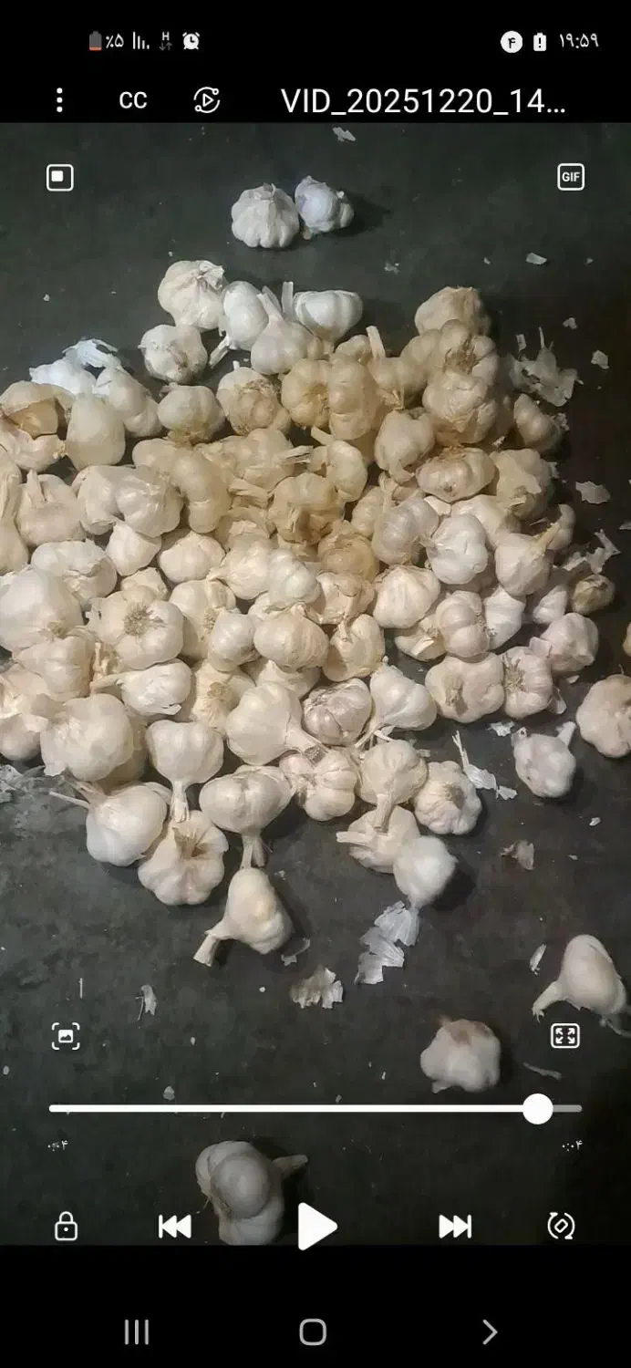 سیردرجه ۱سردخانه ای|خوردنی و آشامیدنی|شهریار, شهریار|دیوار