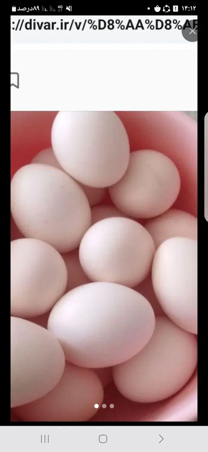 تخم مرغ محلی اصل تازه ونطفه دار|حیوانات مزرعه|نورآباد ممسنی, |دیوار