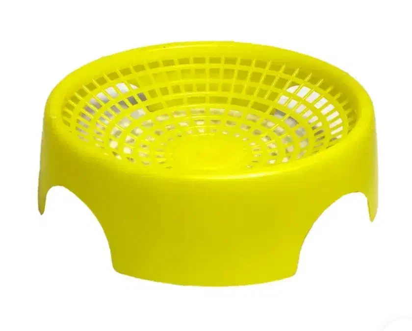 کفتر کبوتر|لوازم جانبی حیوانات|لاهیجان, کوی زمانی|دیوار