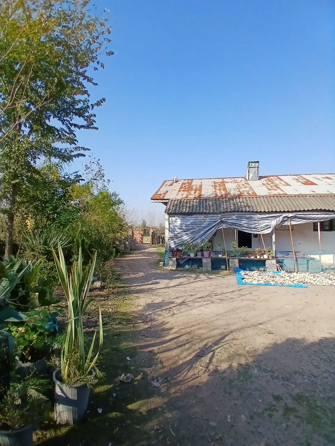 خونه روستایی|فروش خانه و ویلا|کوچصفهان, |دیوار