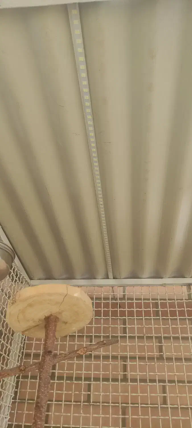 قفس آهنی|لوازم جانبی حیوانات|شاهینشهر, فردوسی|دیوار