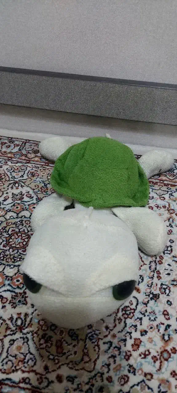 اسباب بازی موتور وعروسک|اسباببازی|زنجان, |دیوار