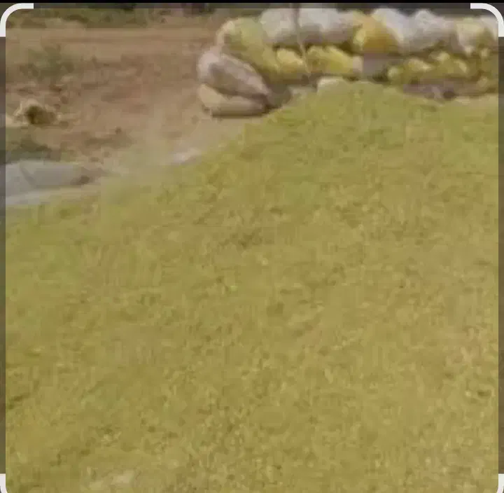 خار|لوازم جانبی حیوانات|تربت جام, جامرود|دیوار