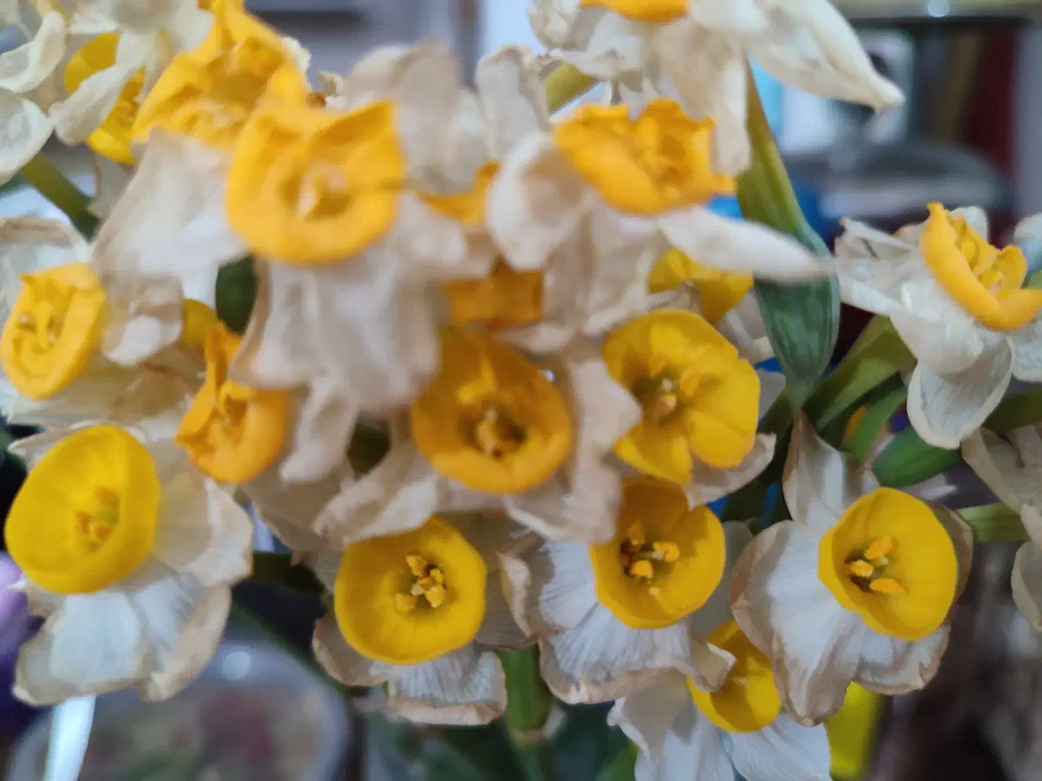 پرستاری سالمند|استخدام درمانی، زیبایی، بهداشتی|بندر کنگان, |دیوار