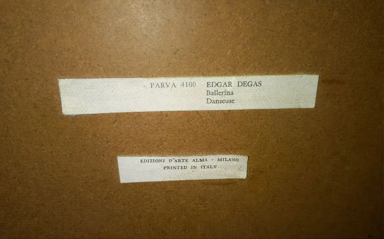 تابلوی بالرین|تابلو، نقاشی، عکس|رشت, چله خانه|دیوار