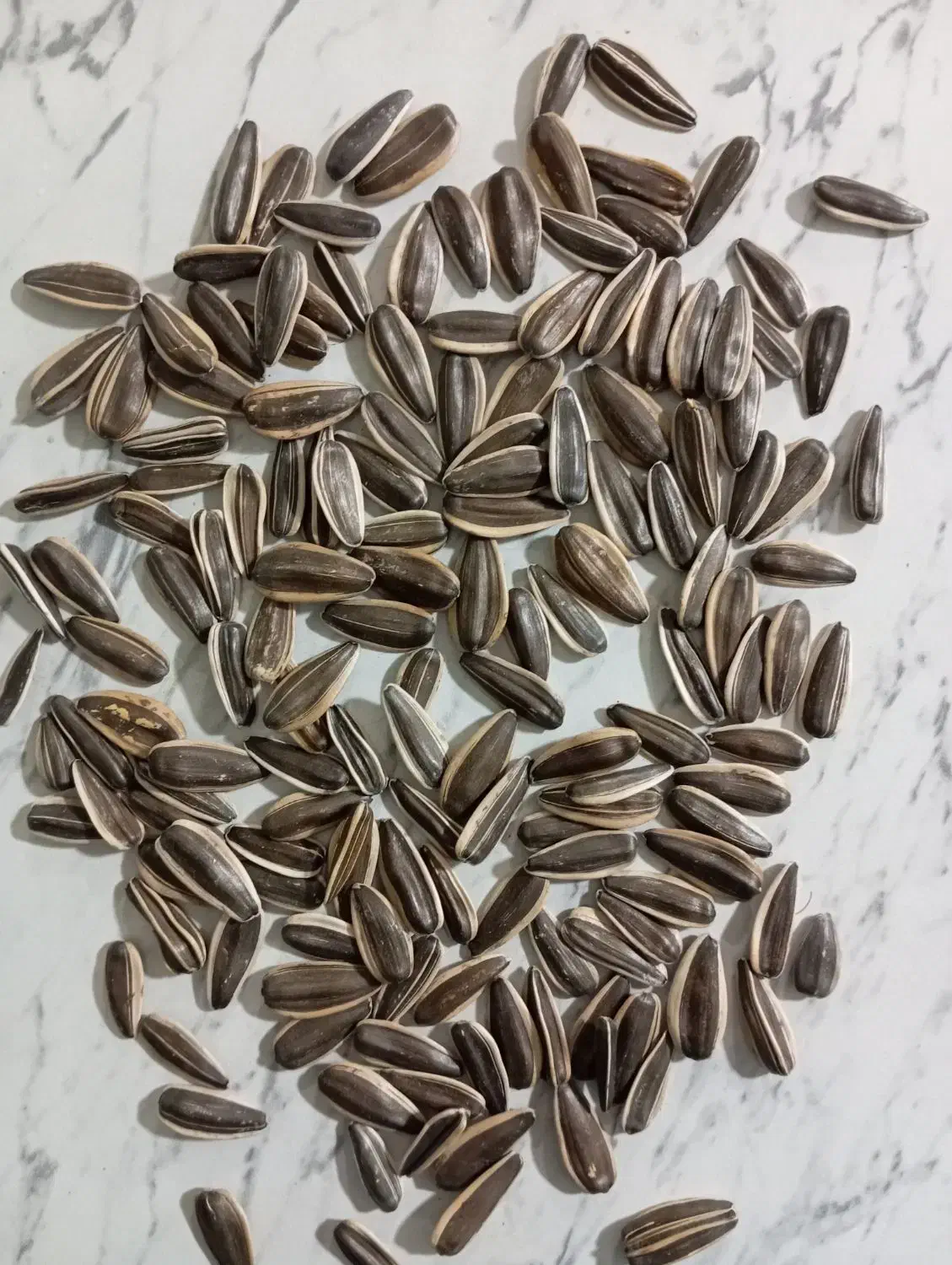 تخمه آجیلی ممتاز آفتابگردان S400|خوردنی و آشامیدنی|هشترود, |دیوار