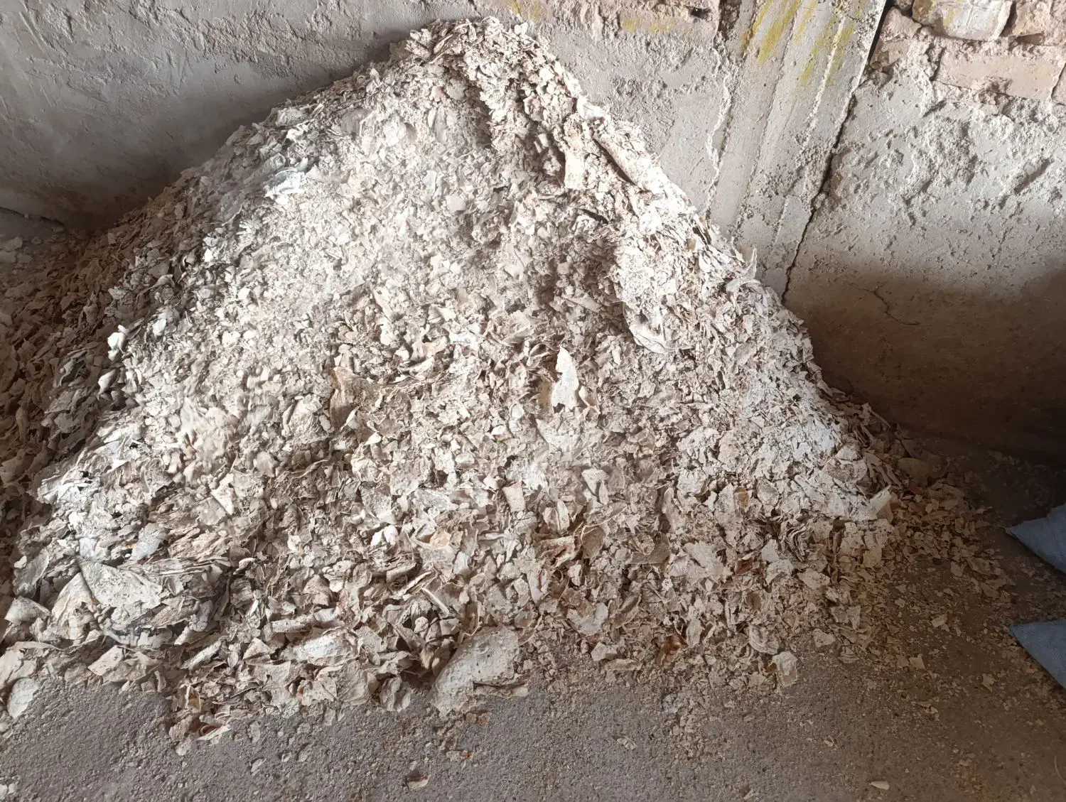 نان خشک درجه یک|خوردنی و آشامیدنی|زرقان, |دیوار