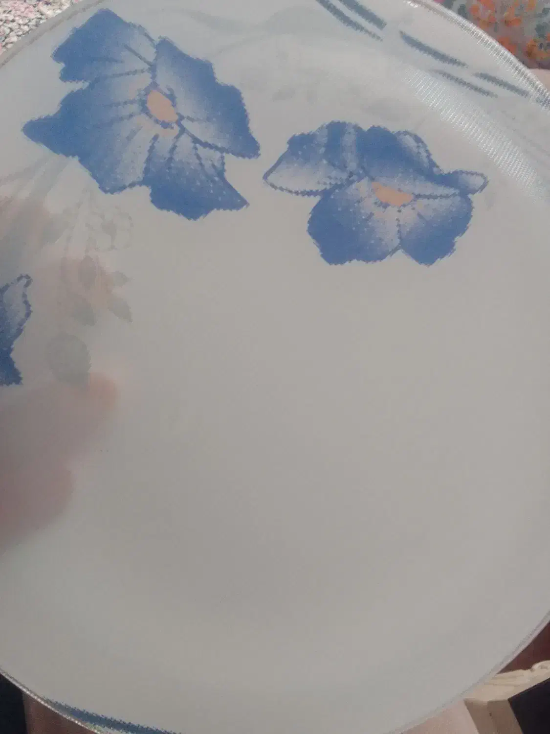 بشقاب|ظروف سرو و پذیرایی|بیرجند, |دیوار