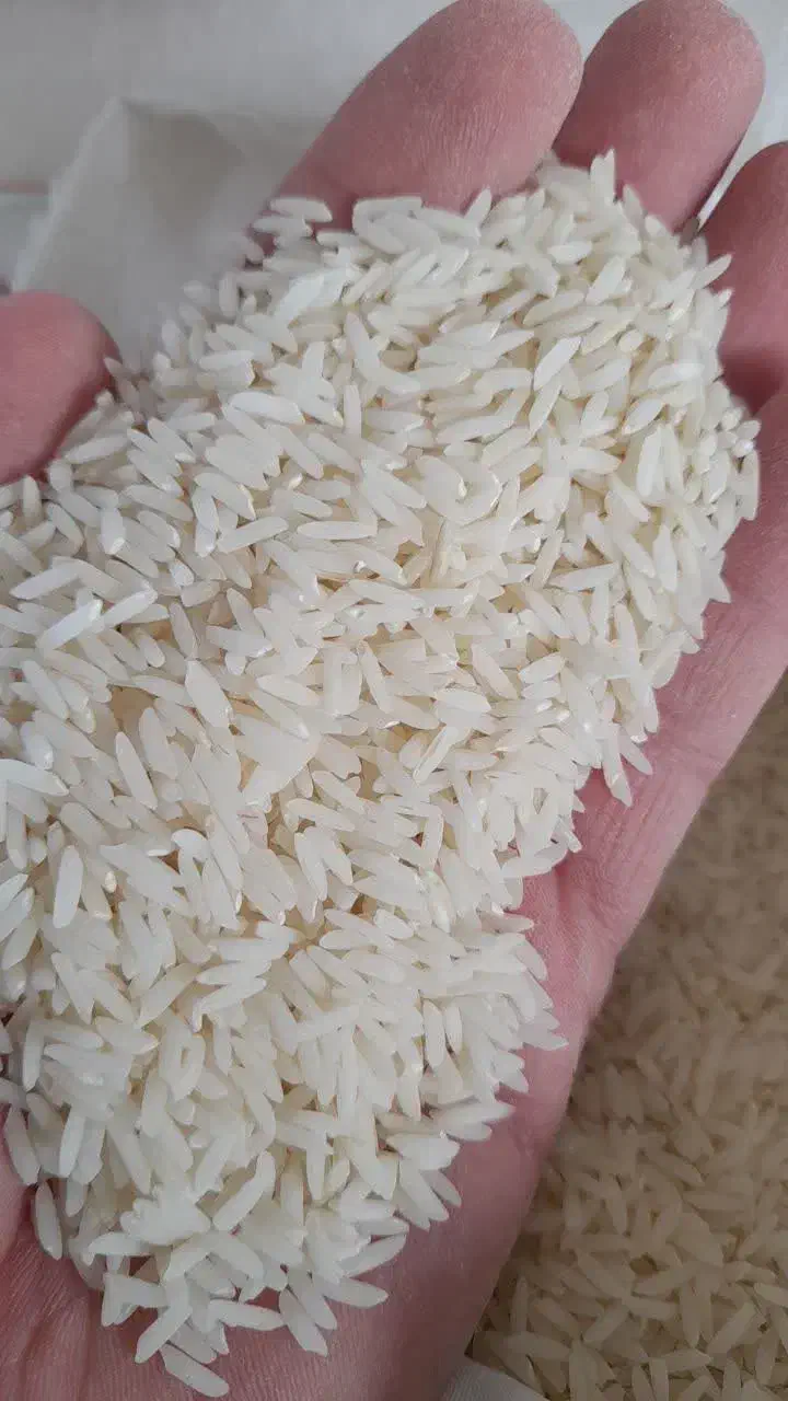 برنج طارم هاشمی فجر سوزنی|خوردنی و آشامیدنی|سبزوار, هویزه|دیوار