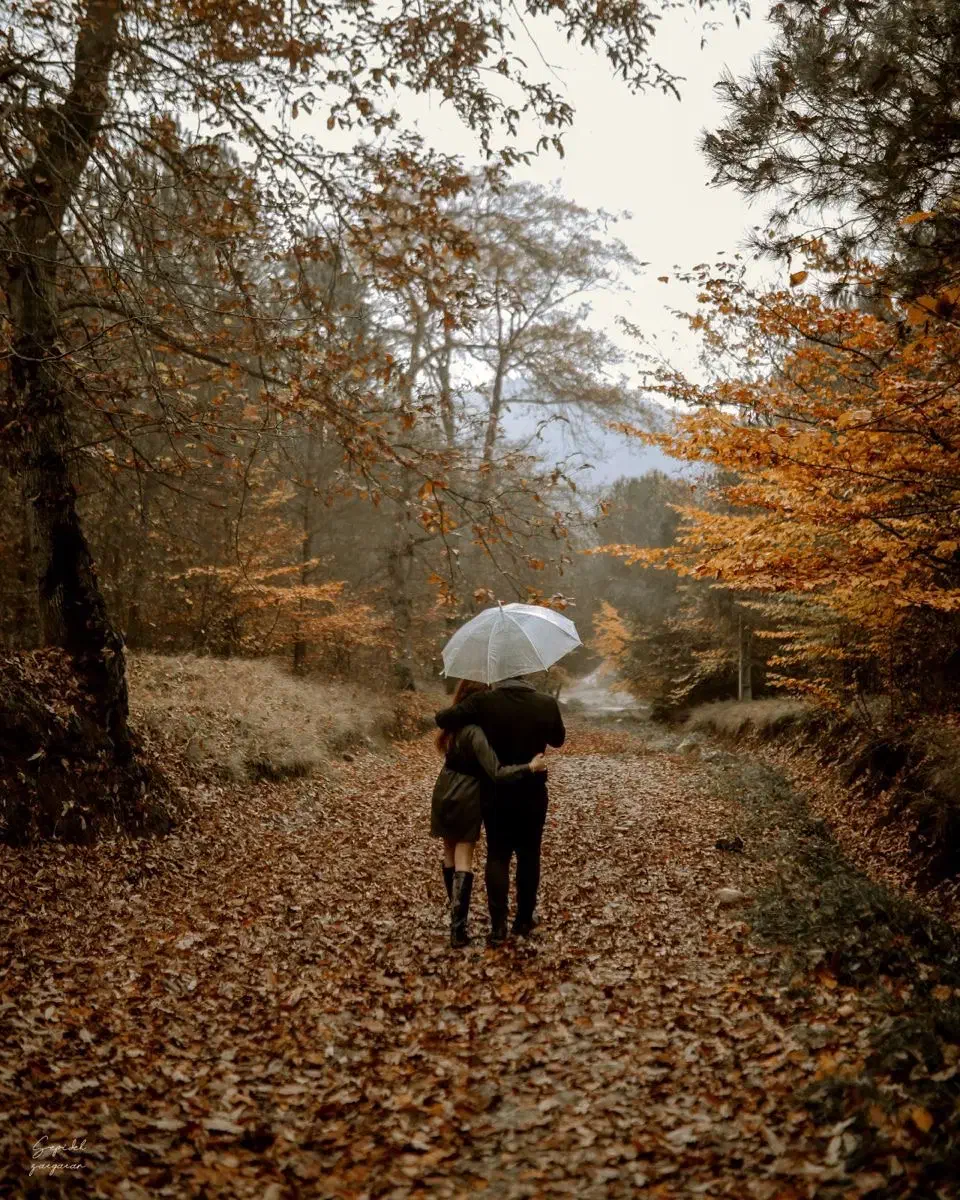 تخفیف عکاسی و کلیپ فرمالیته|خدمات پذیرایی، مراسم|یزد, |دیوار