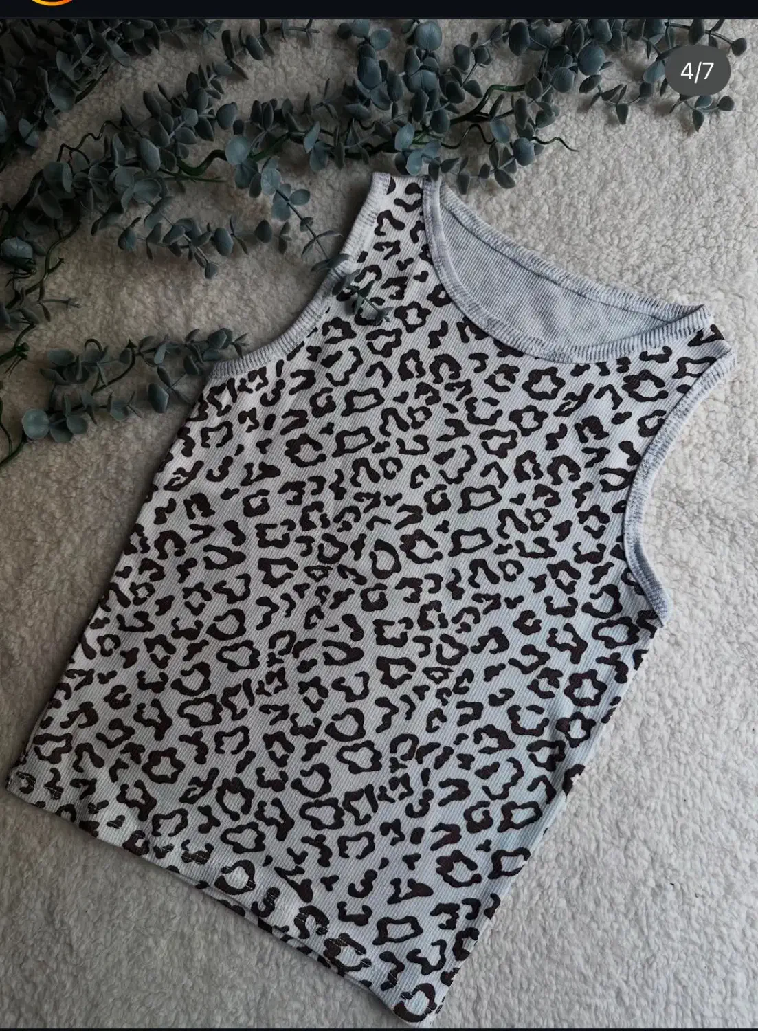 کراپ|لباس|شیراز, میانرود|دیوار