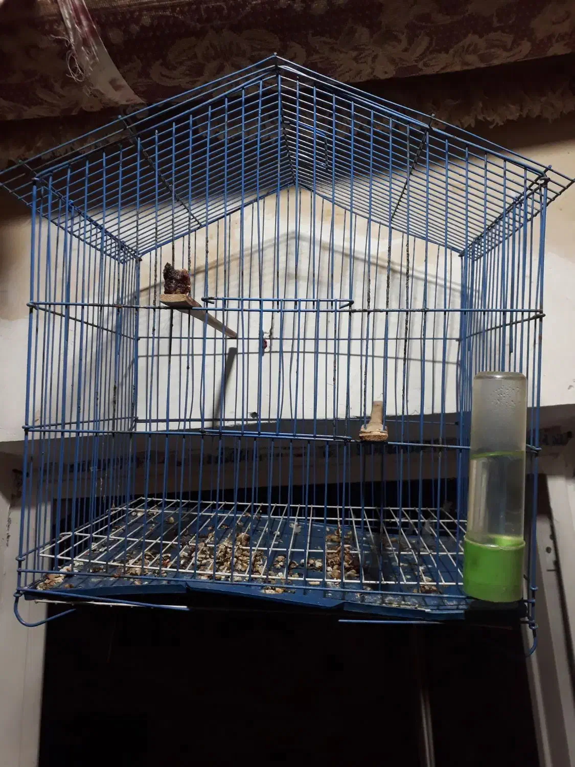 قفس|لوازم جانبی حیوانات|آبادان, |دیوار