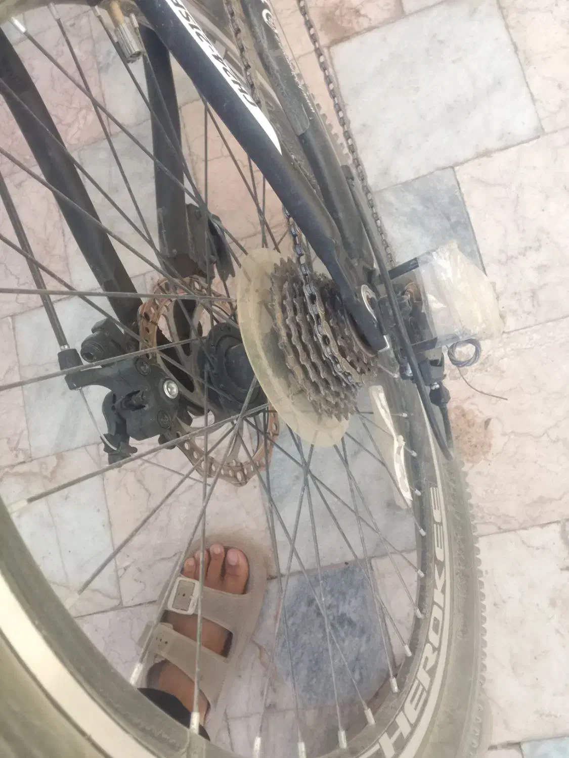 دوچرخه 24 دنده ای|دوچرخه، اسکیت، اسکوتر|گناباد, |دیوار