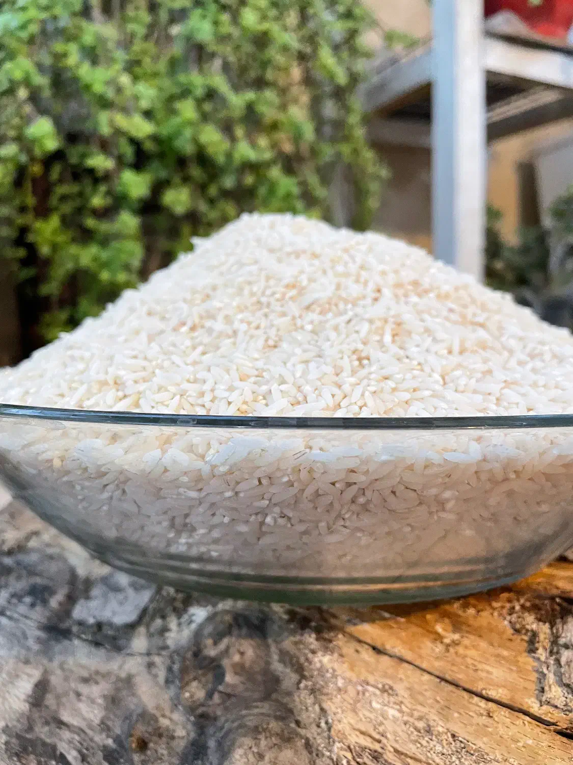 برنج طارم هاشمی دابودشت فریدونکنار/طارم/عطری خالص|خوردنی و آشامیدنی|قم, صفائیه|دیوار