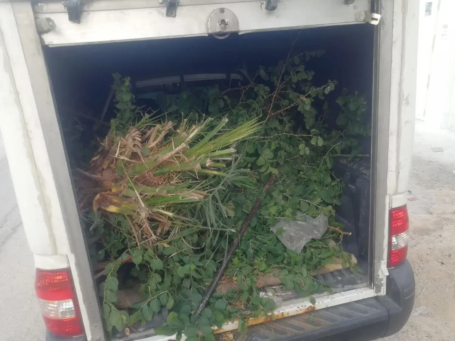 منتیل|اشیا|لامرد, |دیوار