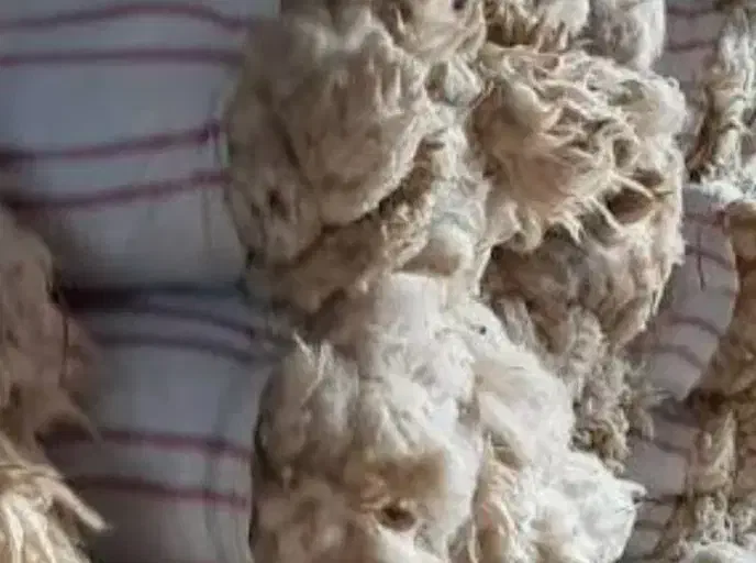 پشم گوسفند|رختخواب، بالش، پتو|خمینیشهر, |دیوار