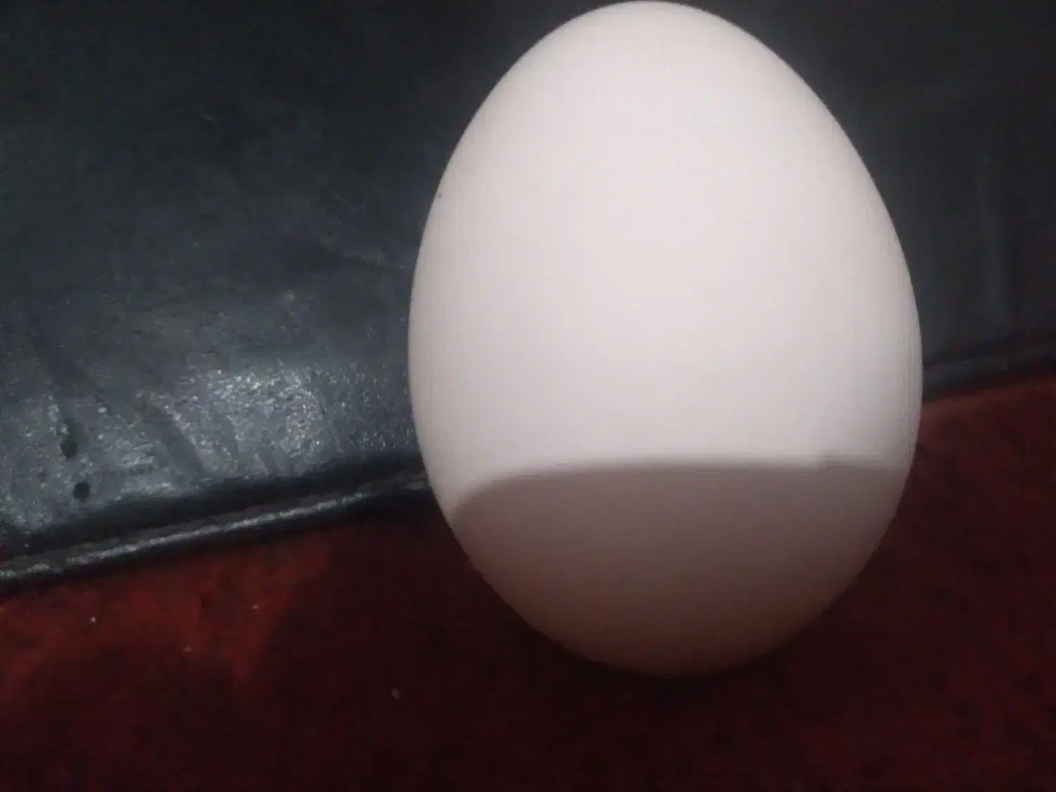 تخم مرغ محلی|خوردنی و آشامیدنی|گتوند, |دیوار