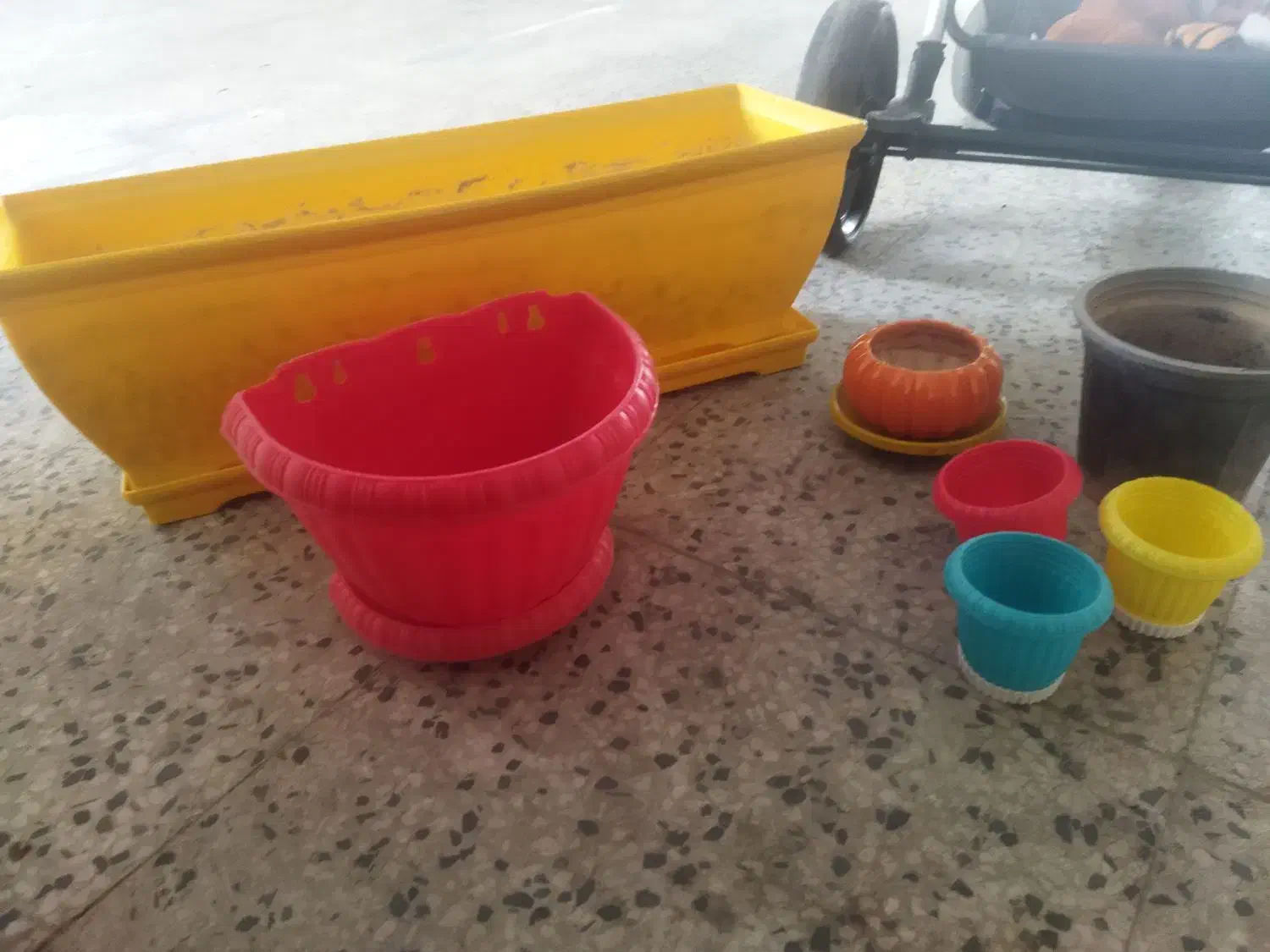 گلدان|گل و گیاه طبیعی|شیراز, آزادگان|دیوار