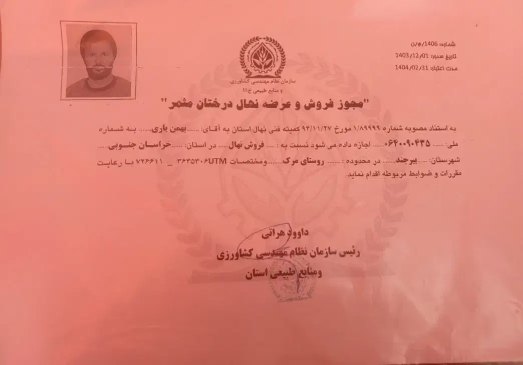 فروش نهال زرشک|خدمات باغبانی و درختکاری|زهان, |دیوار