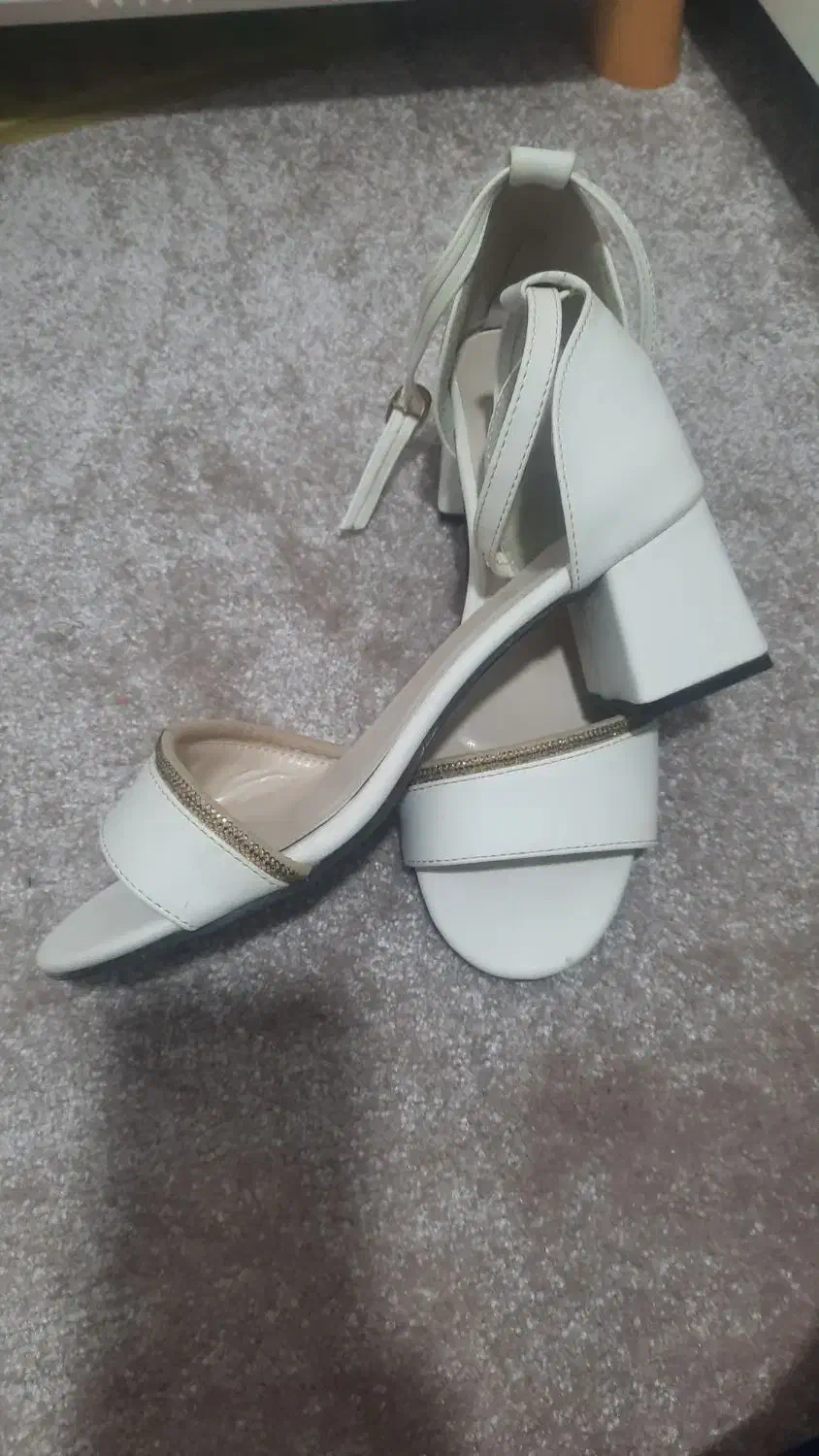 کفش مجلسی|کیف، کفش، کمربند|لامرد, |دیوار