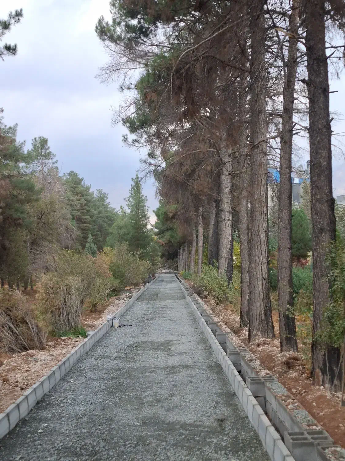 کارگر روز مزد نیاز دارم|استخدام معماری، عمران و ساختمانی|کرمانشاه, |دیوار