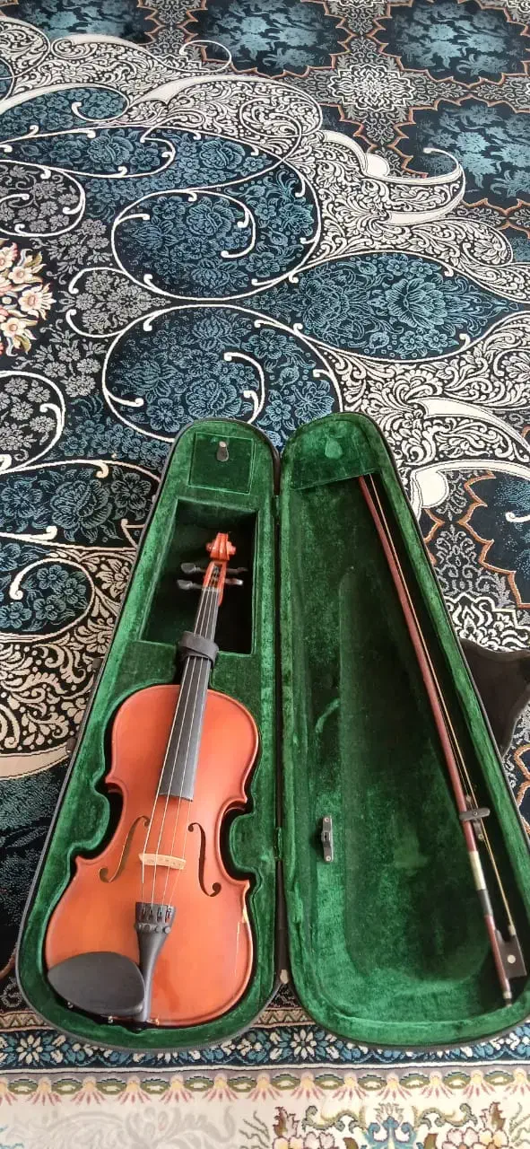 ویولن|ویولن|چهارباغ, |دیوار