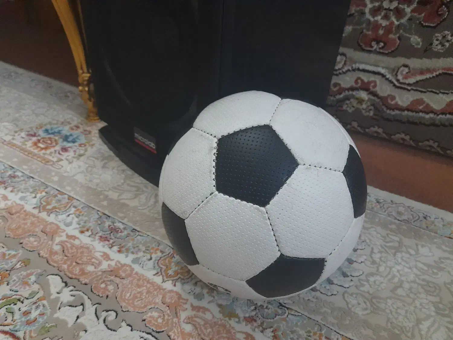 توپ چمن سالنی|ورزش‌های توپی|قم, شاه ابراهیم|دیوار