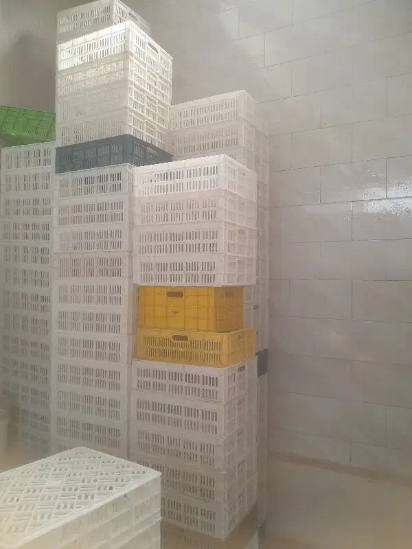 کارگر ساده|استخدام صنعتی، فنی، مهندسی|فیروزه, |دیوار