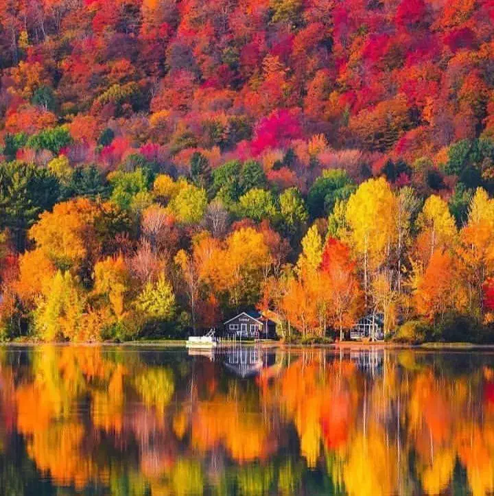 وام|خدمات مالی، حسابداری، بیمه|دورود, |دیوار