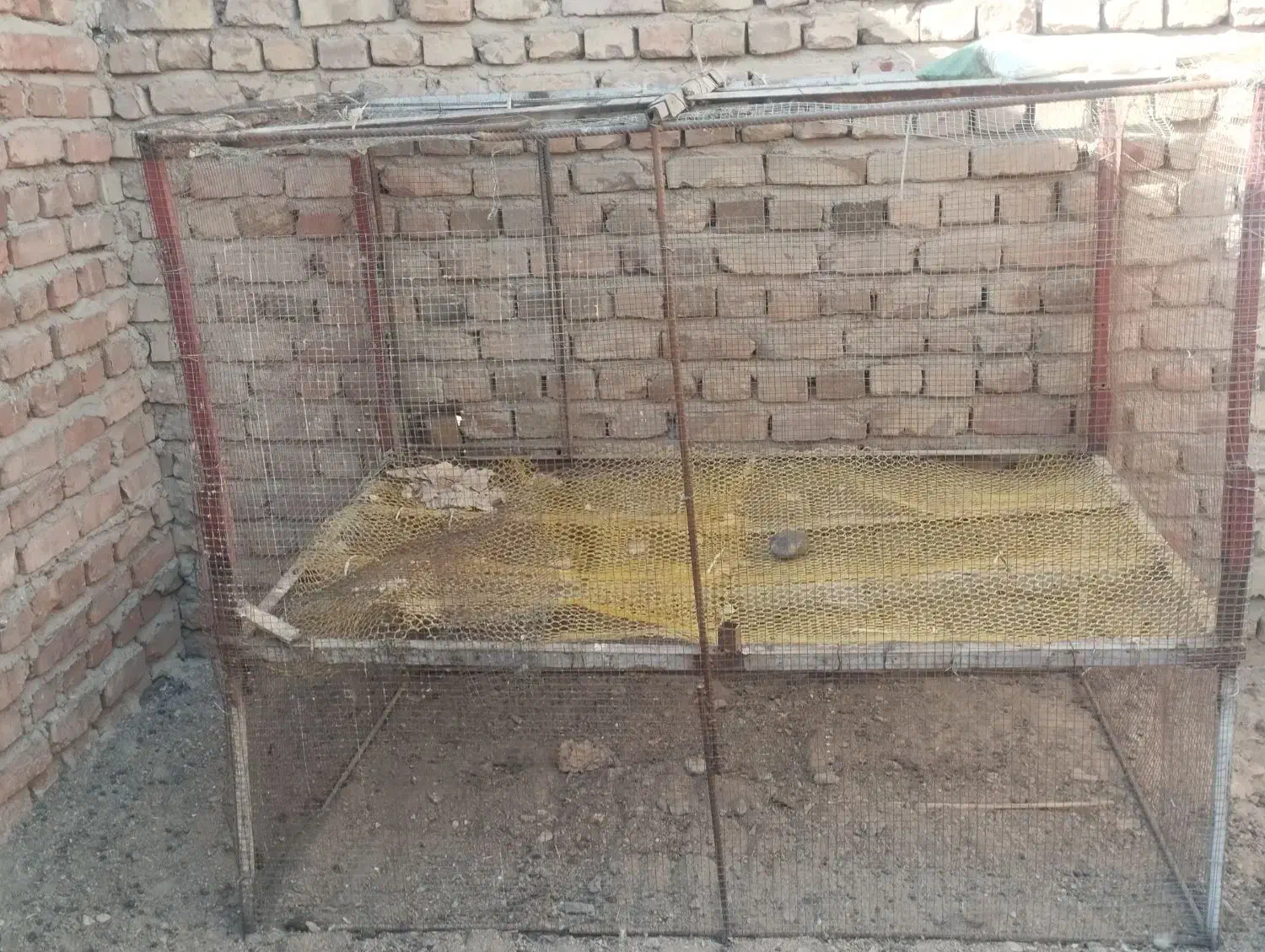 تور و قفس مرغی|لوازم جانبی حیوانات|خاش, |دیوار