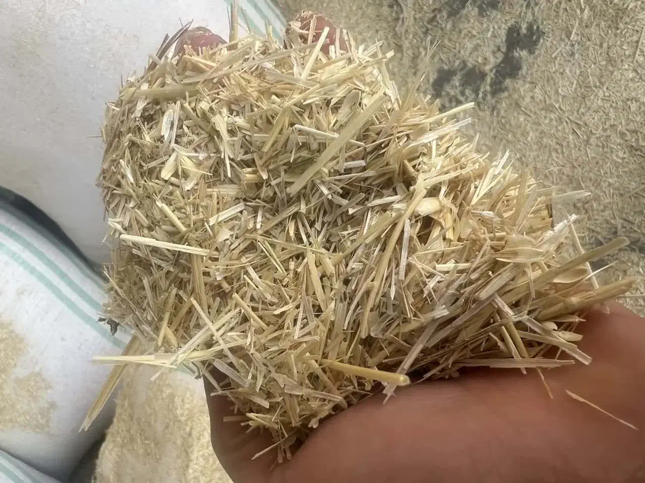 خوراک دام، جو، یونجه، کاه گندم|لوازم جانبی حیوانات|اشکذر, |دیوار