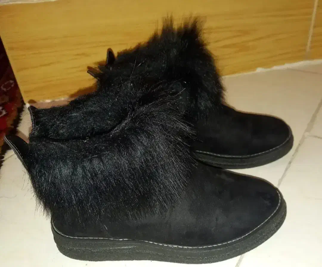 حراج|حراج|مراغه, |دیوار