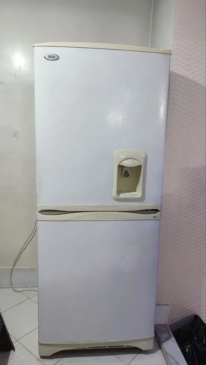 فرش یخچال دارقالی میوه خوری بخارپز مجسمه|فرش|مشهد, موسوی قوچانی|دیوار