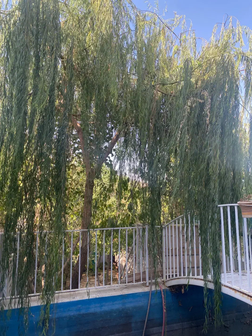 سوئیت اجاره ای باغی طرقبه|اجارهٔ کوتاهمدت آپارتمان و سوئیت|طرقبه, |دیوار