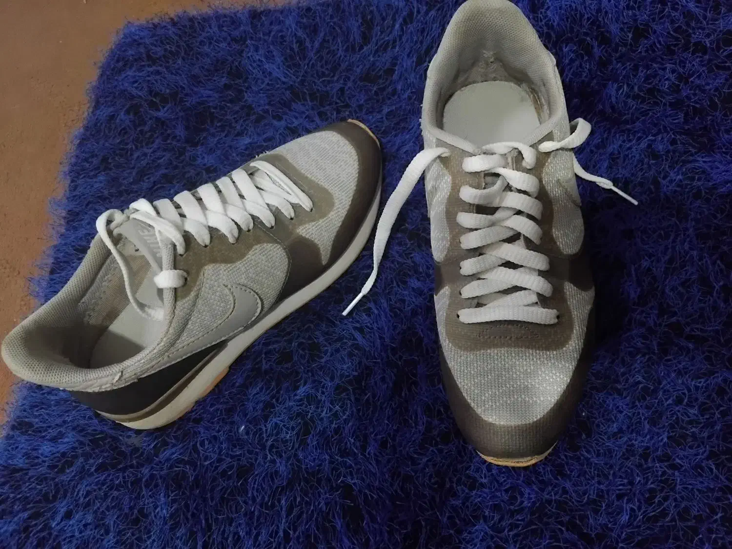 ۳۷ ،خارجی|کلکسیون اشیاء عتیقه|بجنورد, |دیوار