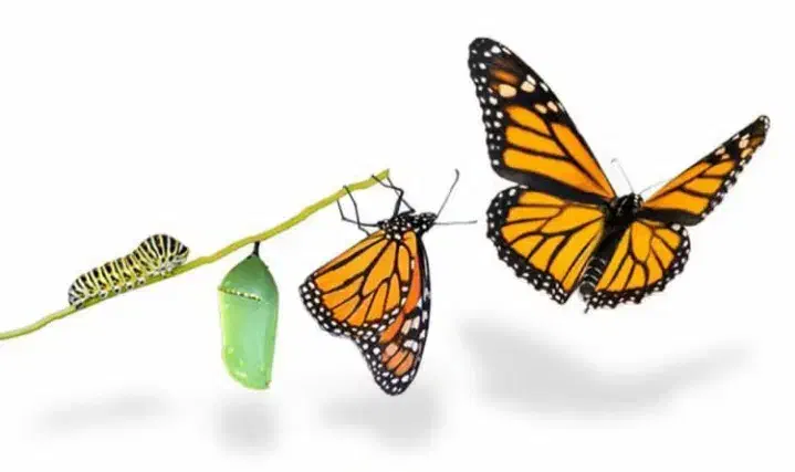 چاپ پلاس|خدمات رایانه‌ای و موبایل|اردکان, |دیوار