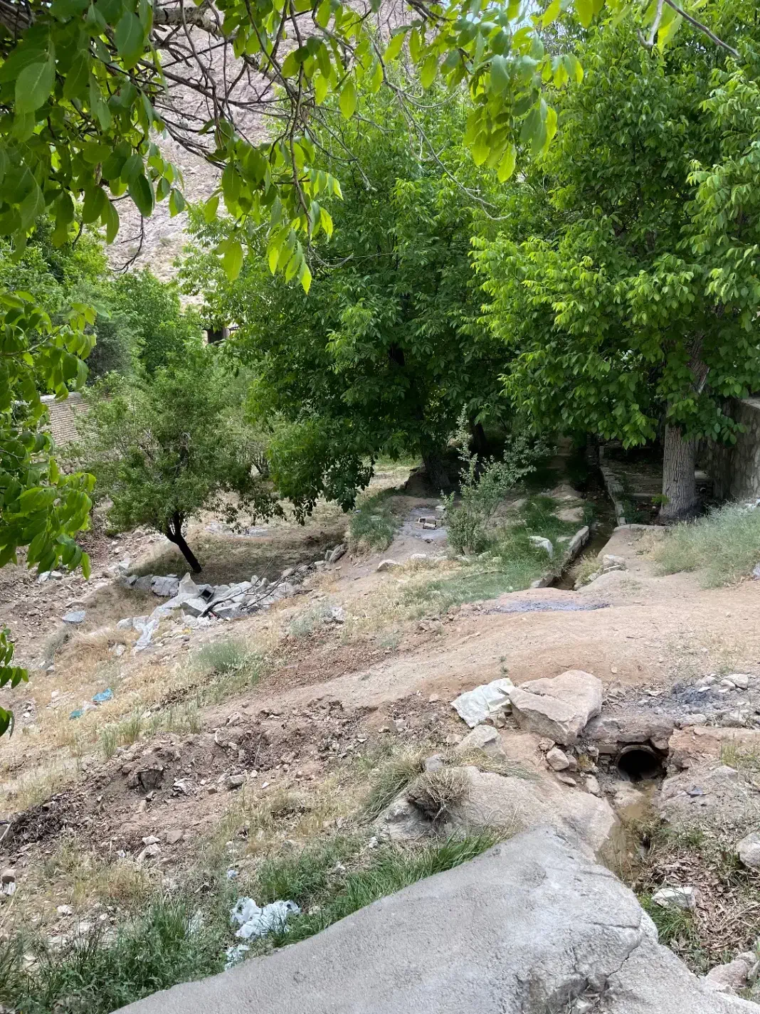 مشارکت ساخت در سانیج|مشارکت در ساخت املاک|یزد, |دیوار