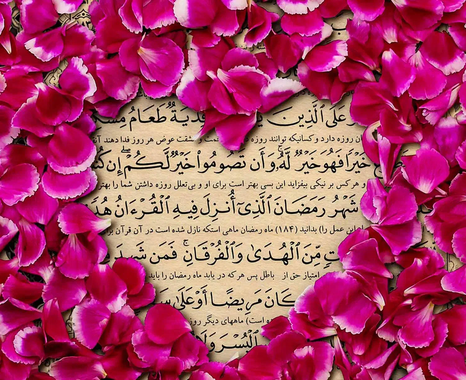 سنگ عقیق( ا س ت خ ا ر ه )|بدلیجات|آبادان, |دیوار