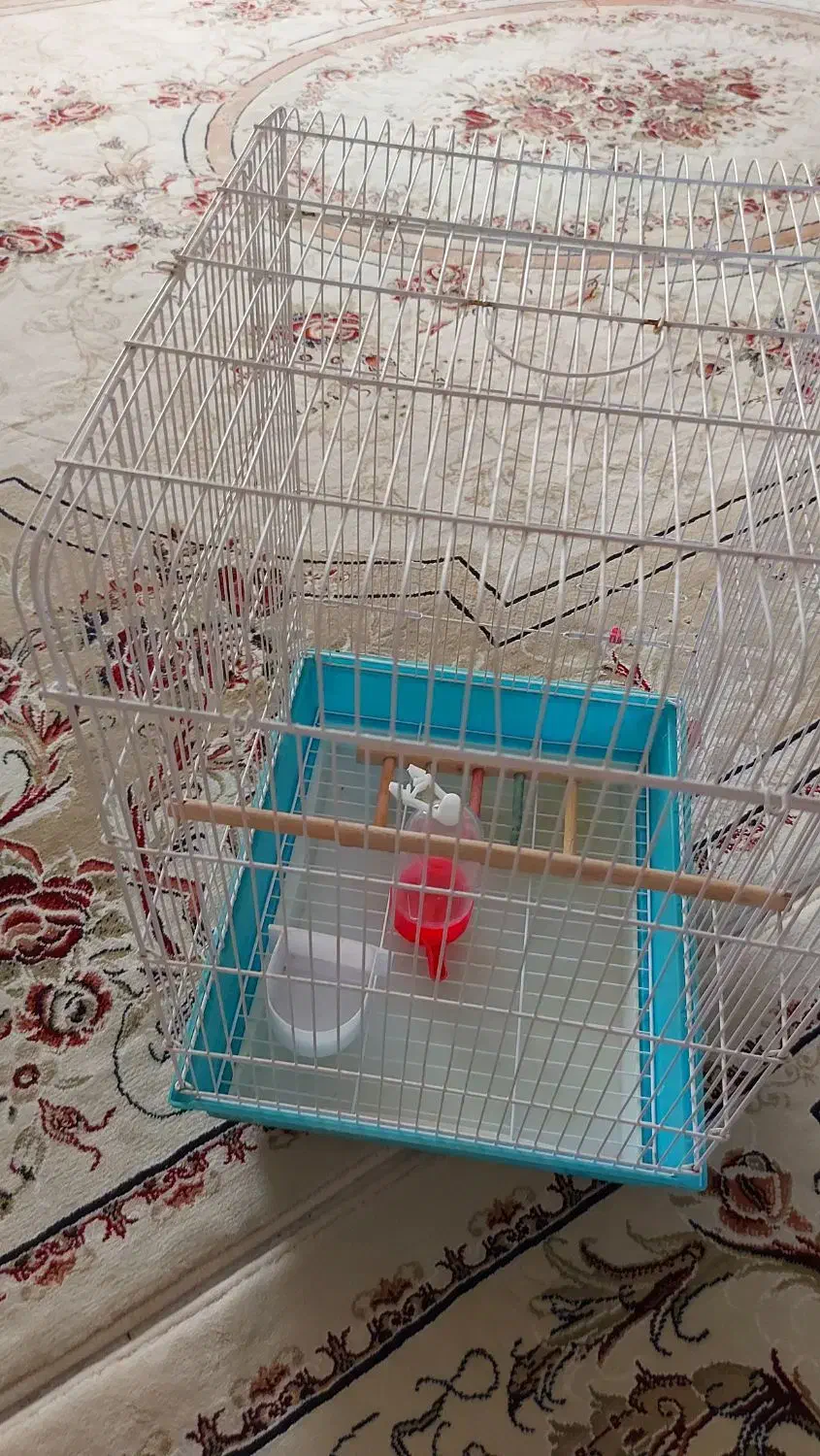 قفس پرنده|لوازم جانبی حیوانات|مشکیندشت, |دیوار