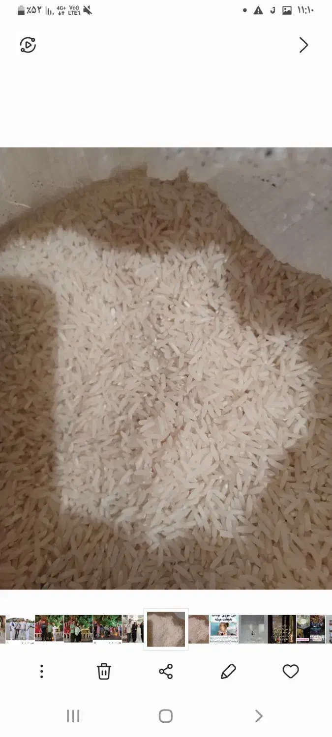 برنج هاشمی|خوردنی و آشامیدنی|رشت, لاکان|دیوار