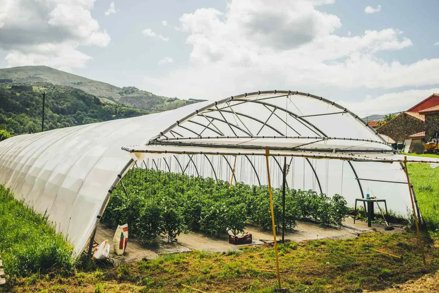 فروش سازه گلخانه|فروش دفتر صنعتی، کشاورزی، تجاری|مشهد, وکیل‌آباد|دیوار