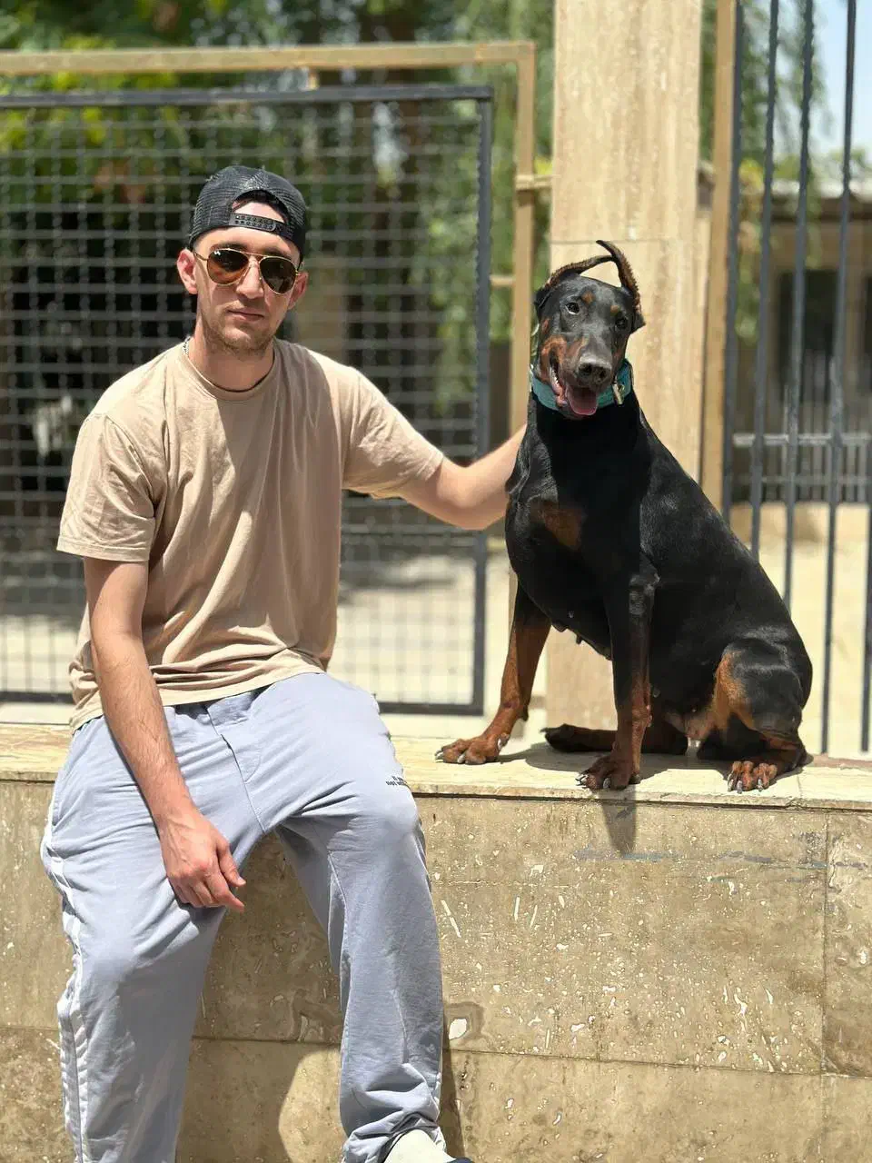 دوبرمن اورجینال وارداتی|سگ|تهران, آجودانیه|دیوار